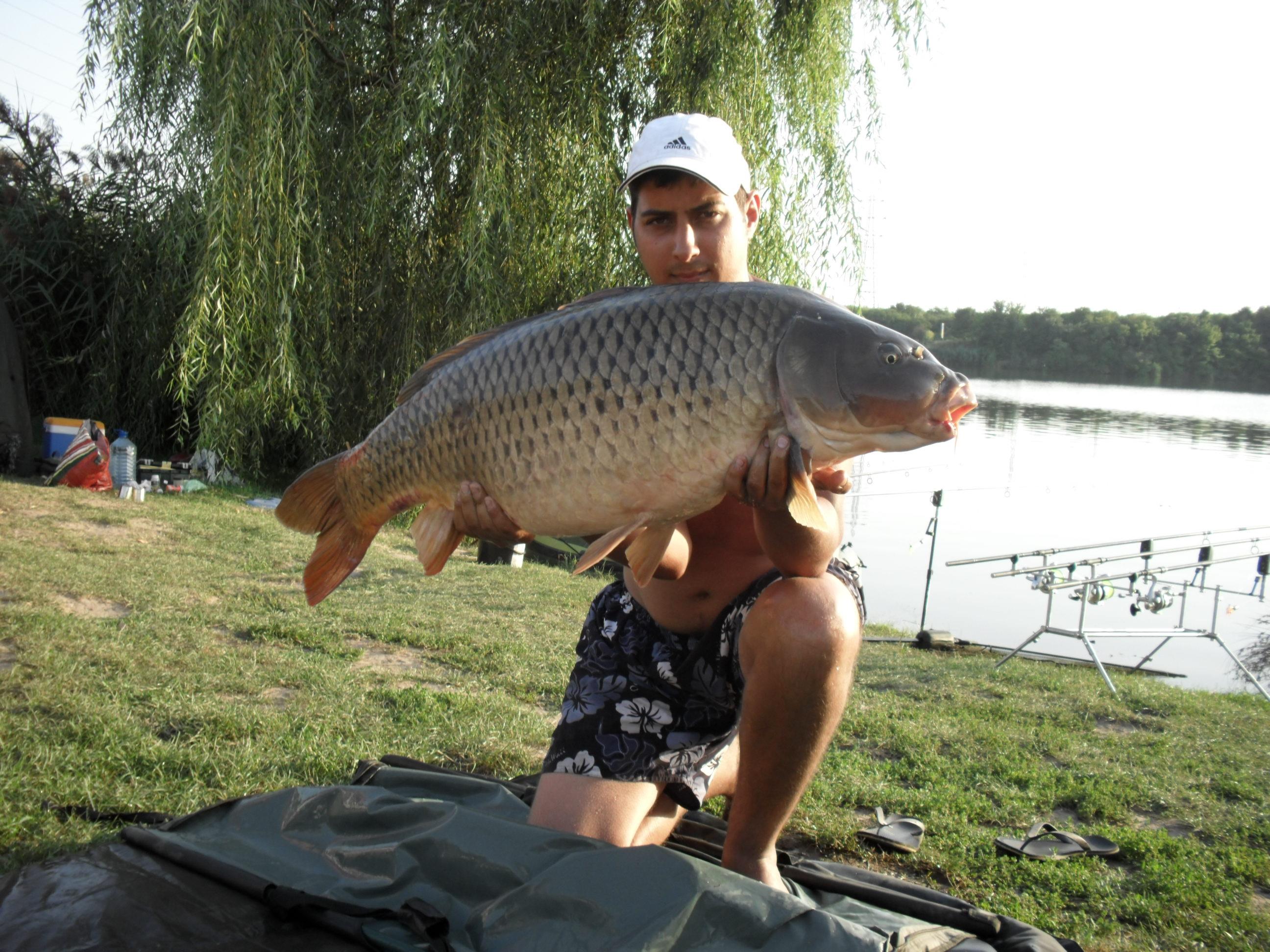 somn mania tancabesti - SAM_0866.JPG